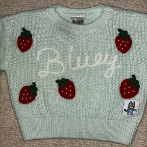 Bluey Kids Sweater - Mint Green with Red Strawberry Accents